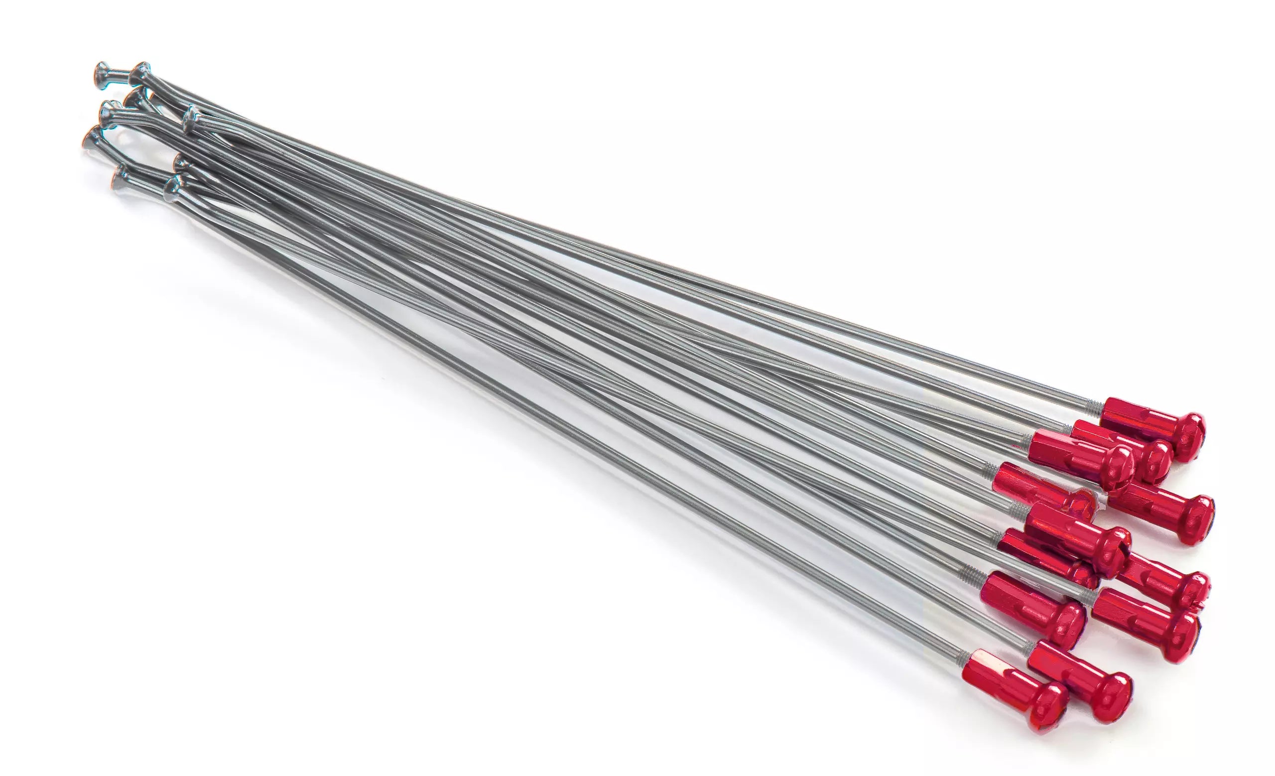 Radios Kite para llantas traseras de 18 pulgadas rojo 12pcs Rojo - 20.909.0.RO